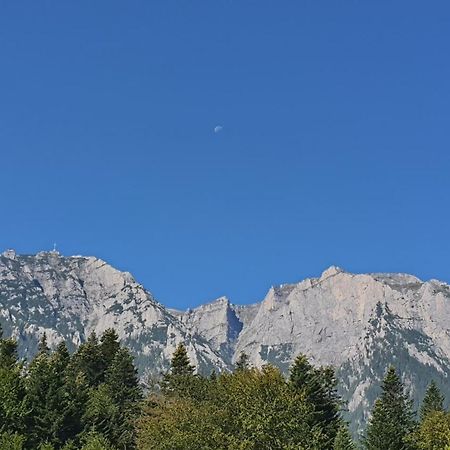 Pensiunea Luna Buşteni Buitenkant foto