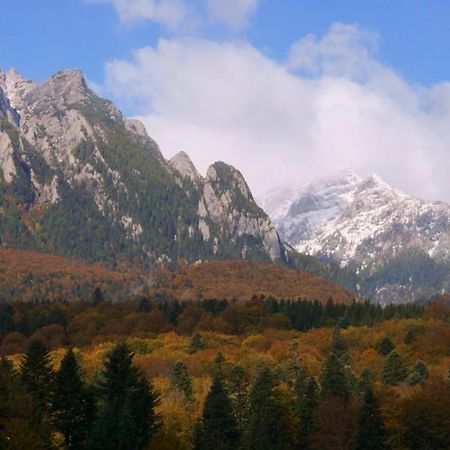 Pensiunea Luna Buşteni Buitenkant foto