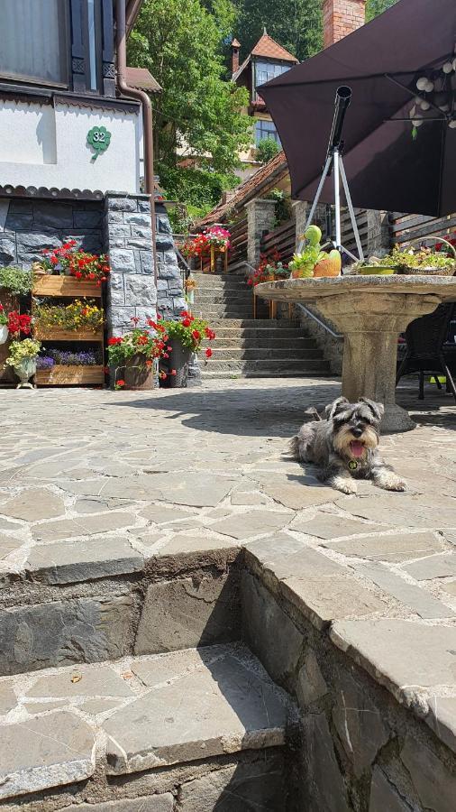 Pensiunea Luna Buşteni Buitenkant foto