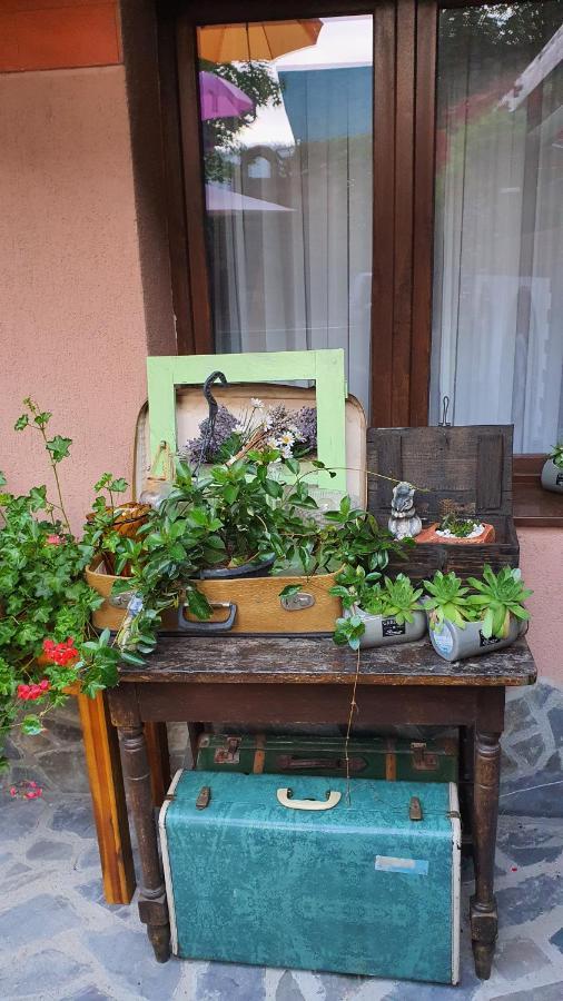 Pensiunea Luna Buşteni Buitenkant foto