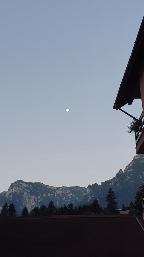 Pensiunea Luna Buşteni Buitenkant foto
