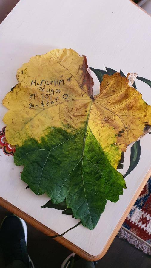 Pensiunea Luna Buşteni Buitenkant foto